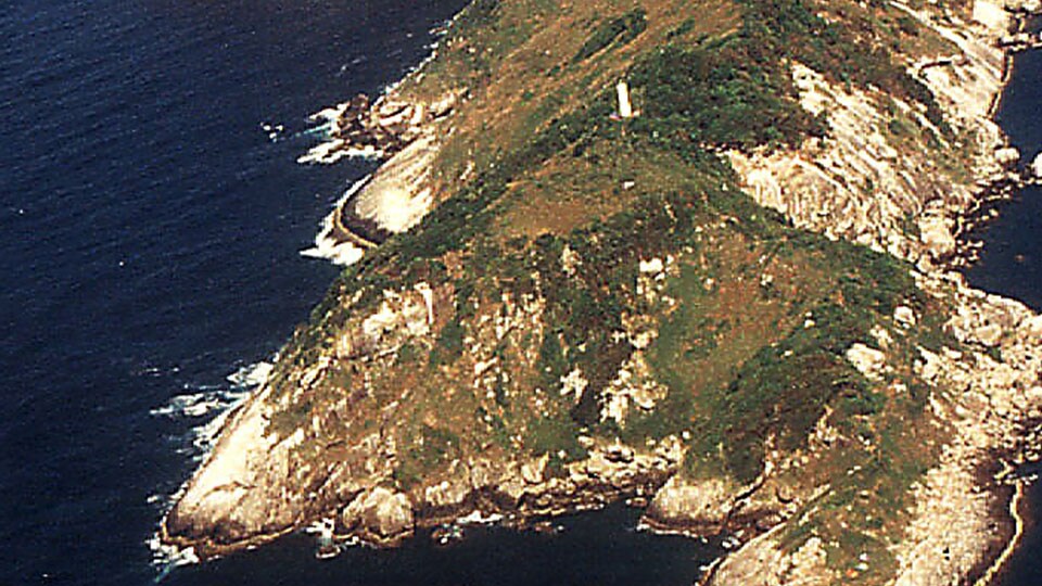 Ilha da Queimada Grande - Snake Island