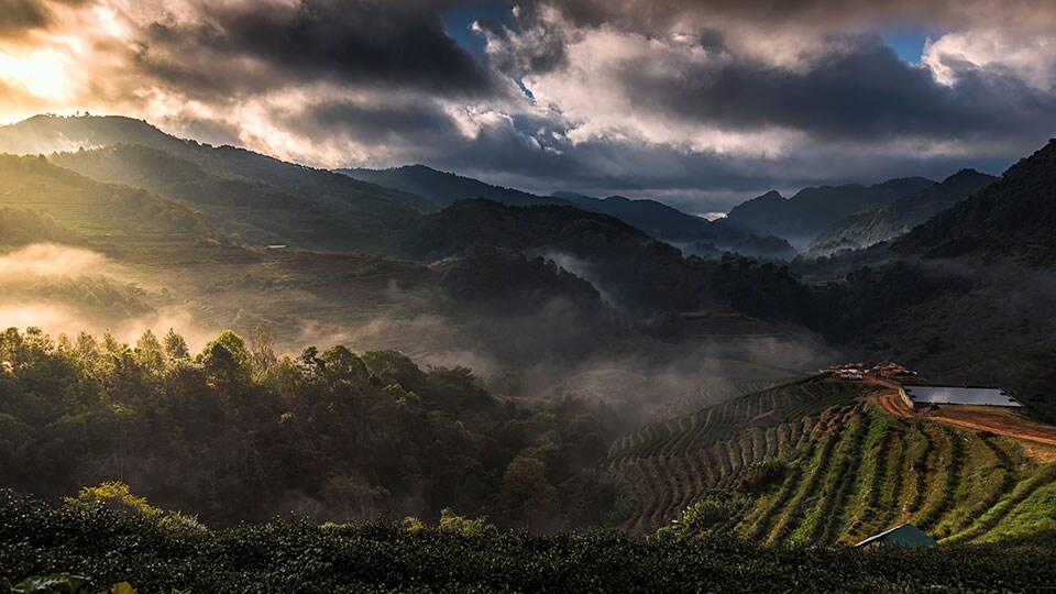 Beautiful sunrise with the morning mist, at Doi Angkhang in Chiangmai,Thailand