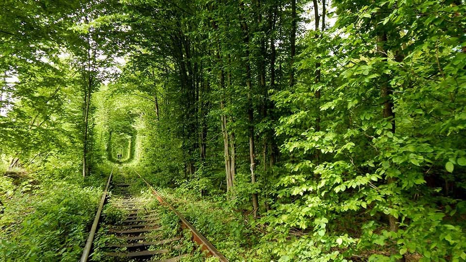 The "Tunnel of Love", Rivne region